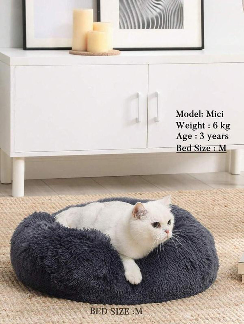 Fluffy Dog bed